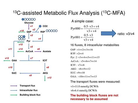 Ppt Metabolic Flux Analysis By Matlab Powerpoint Presentation Free