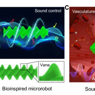 (PDF) An Acoustically Controlled Microrobot Modelled on Spirochete Bacteria