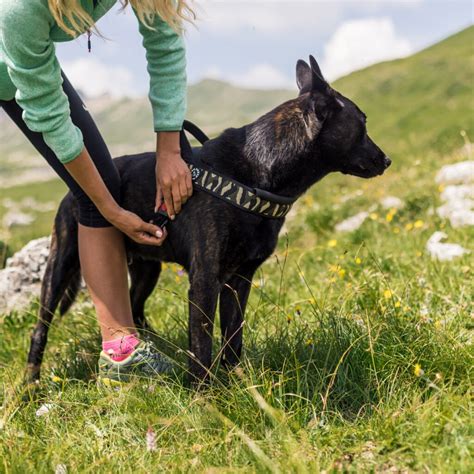 Szelki Tre Ponti Primo Plus Moro Tre Ponti