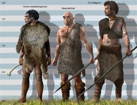 Homo heidelbergensis no Pinterest | Evolução humana, Homo habilis e Evolução