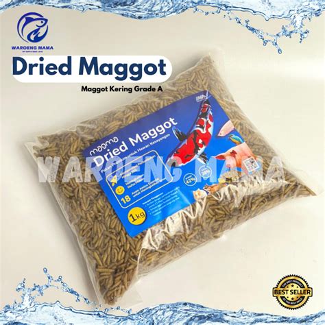 Jual Maggot Kering BSF 1kg Grade Premium Magma Dried Pakan Ikan Channa