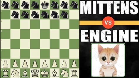 Mittens Vs Stockfish Battle With Only Knights Youtube