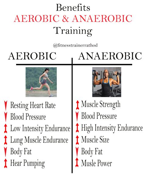 Aerobic and Anaerobic Training