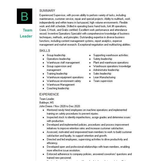 Team Leader Resume Example