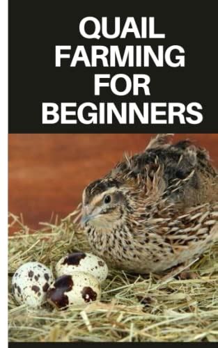 Quail Farming For Beginners Comprehensive Step By Step Guide On Quail