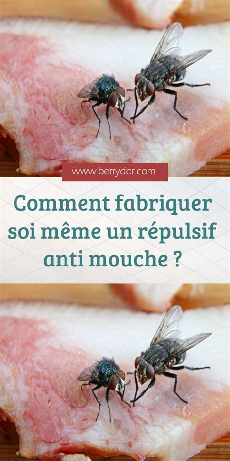 Comment Fabriquer Soi M Me Un R Pulsif Anti Mouche Anti Mouche