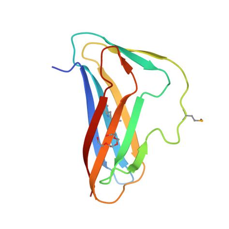 Rcsb Pdb Isy Crystal Structure Of An Intracellular Proteinase