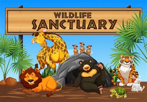 Premium Vector | Wildlife Sanctuary Banner and Animals