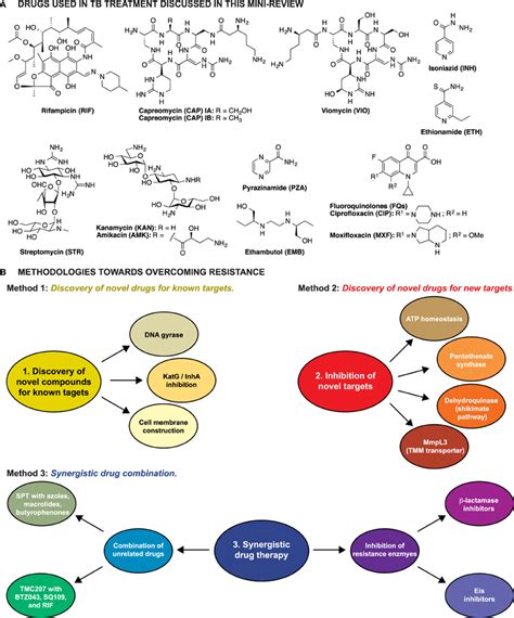 Frontiers Resistance In Tuberculosis What Do We Know And Where Can