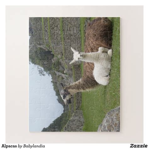 Alpacas Jigsaw Puzzle | Zazzle | Jigsaw puzzles, Puzzle, Jigsaw