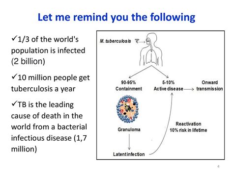 Anti Tuberculosis Immunity Anti Tuberculosis Vaccination And