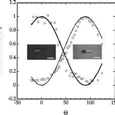 Polarization Effect Reflected Normalized Light Intensity Vs