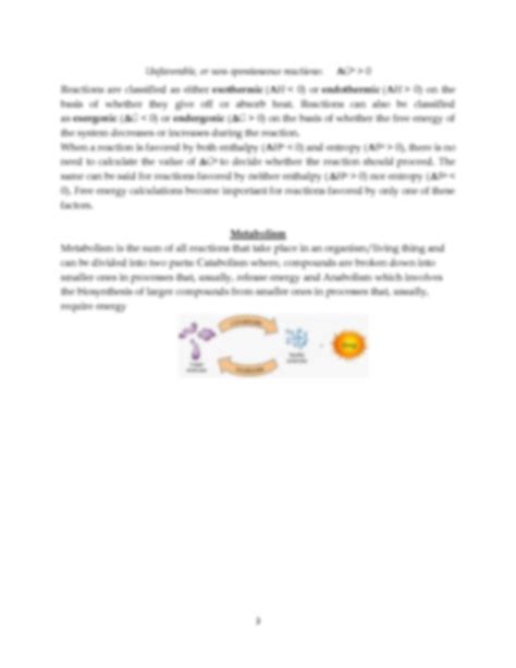 Solution Carbohydrate Metabolism And Bioenergetics Studypool