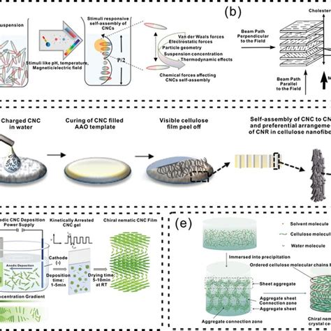 Self‐assembly Properties Of Cellulose A Influence Of Various Download Scientific Diagram