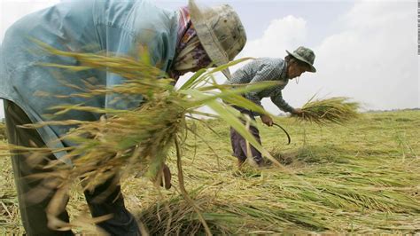 60 De Las Personas Que Sufren Hambre En América Latina Y El Caribe Están En Sudamérica