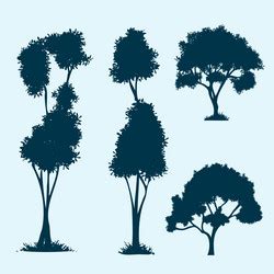 Blue tree silhouette collection Royalty Free Vector Image