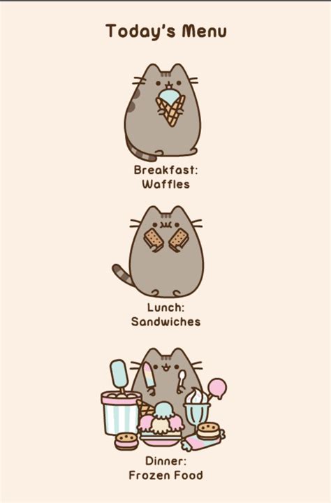 Chat Kawaii Kawaii Cat Crazy Cat Lady Crazy Cats Chat Pusheen Pusheen Stuff Pusheen Stormy