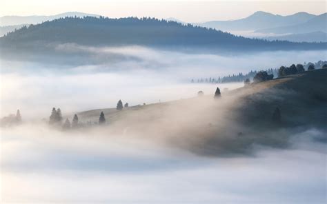 Obiceiuri si traditii de Craciun in Bucovina