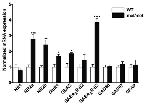 Altered Mrna Expression Of Glutamatergic And Gabaergic Receptor