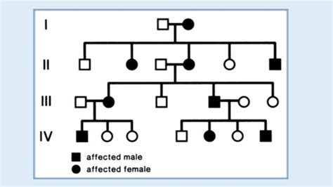 Pedigree Chart And Autosomal Inheritance