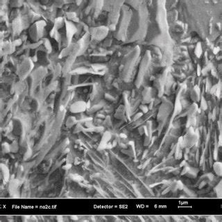 The Sem Images Of Mild Steel Surface After Hours Immersion In Acidic