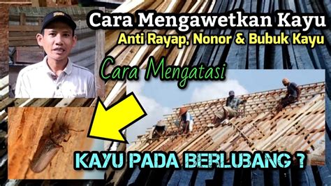 Cara Mengawetkan Kayu Anti Rayap Obat Kayu Anti Rayap Dan Bubuk