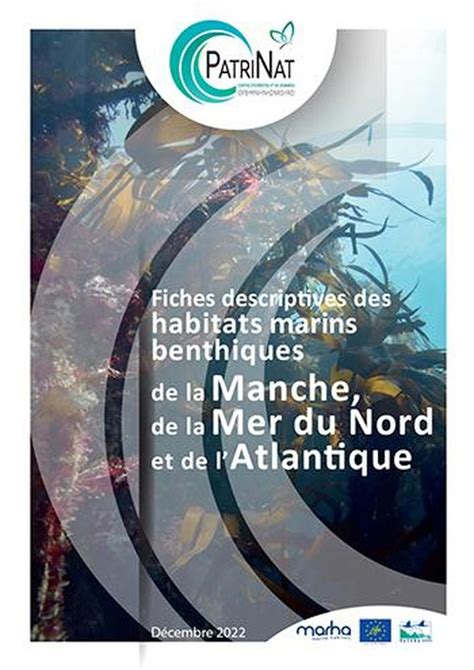 Fiches Descripives Des Habitats Marins Benthiques De La Manche De La