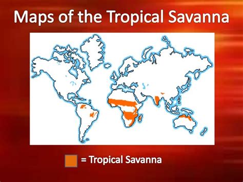 Tropical Savanna