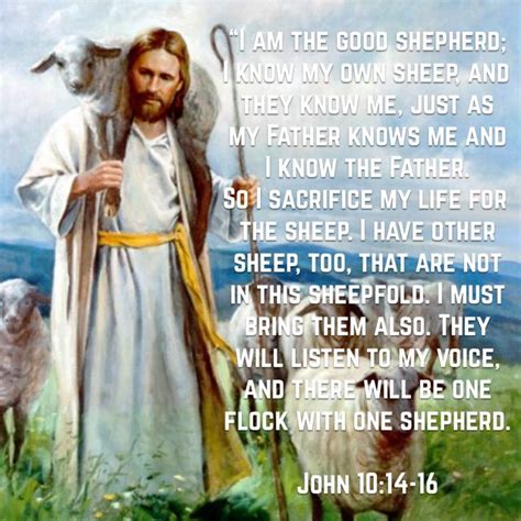 John 1014 16 New Living Translation Nlt The Good Shepherd John