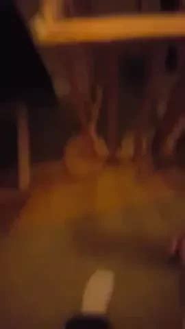 Sexy Wwe Diva Nikki Bella Ass In Leggings Babe Porn XHamster