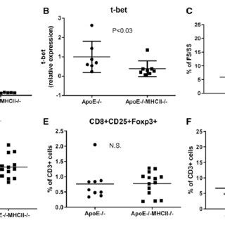 Characterization Of T Cell Subsets In Spleen And Aorta Analysis Of