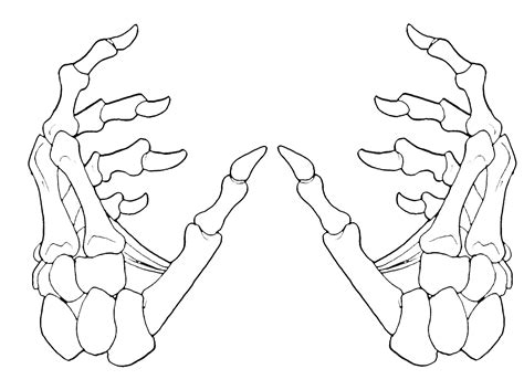 Tattoo design 1 | Skeleton drawings, Skeleton hands drawing, How to draw hands