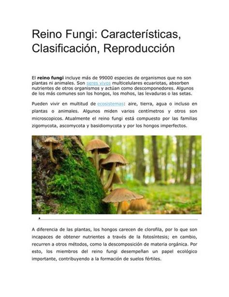 Resúmenes De Reino Fungi Descarga Apuntes De Reino Fungi