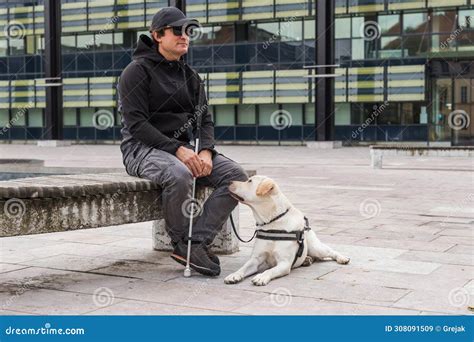 Blind Man And His Guide Dog Sitting On The Street Stock Image Image