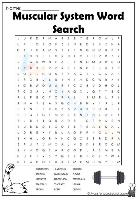 Muscle System Wordsearch Worksheet