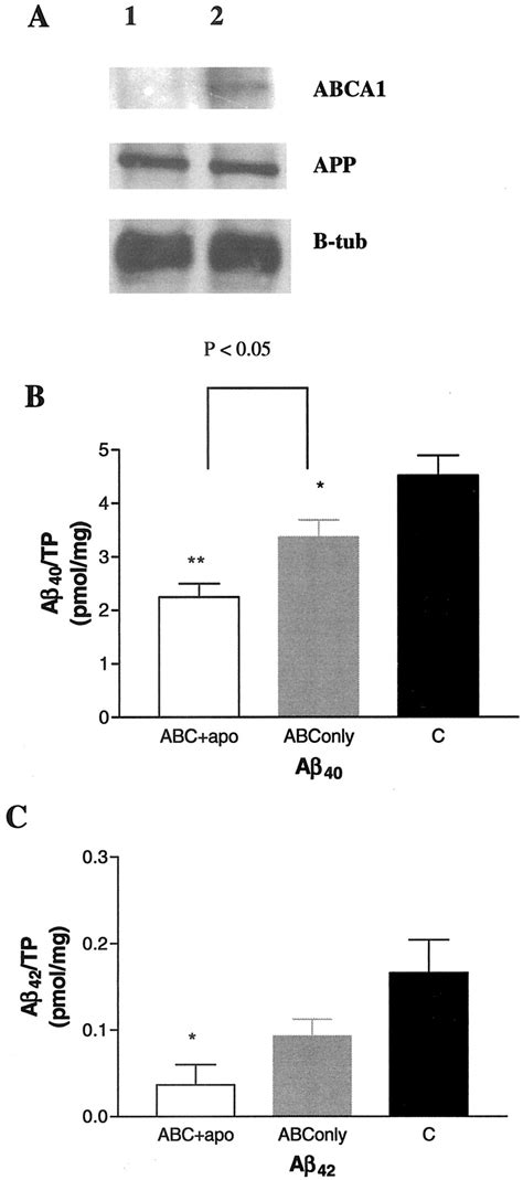 The Liver X Receptor Ligand T0901317 Decreases Amyloid β Production in