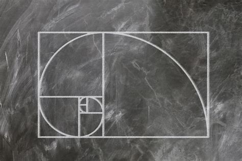 fibonacci espiral ciencia tablero colegio enseñando matriz