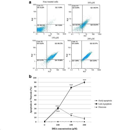 Effect Of Dha On Apoptosis Induction 5 × 10 5 Hct 116 Cells Per Well Download Scientific