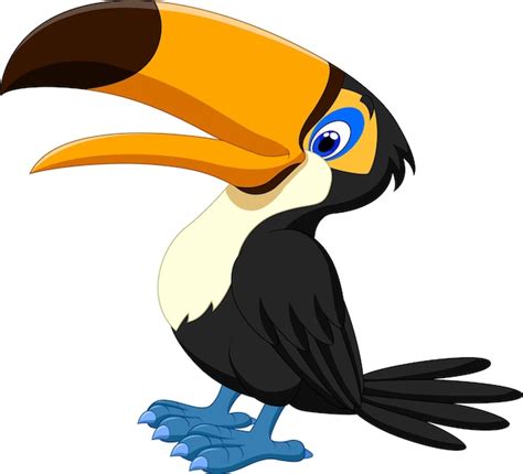 Premium Vector Happy Toucan Posing