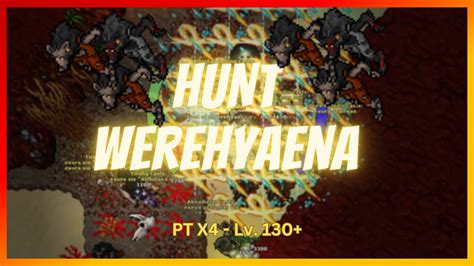 Tibia Hunt Werehyaena 2 Pt X4 130 Pov Knight 2kk H 150 Youtube