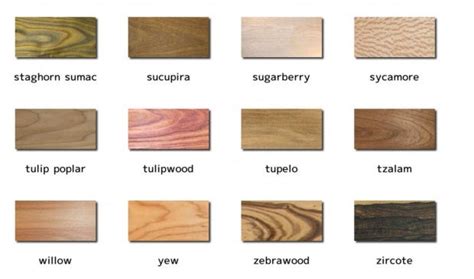 wood poster showing 240 different woods - Woodworking Talk - Woodworkers Forum