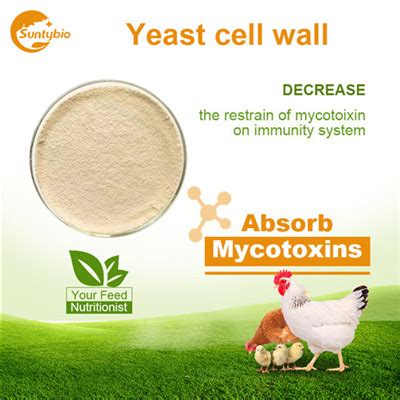 Cell wall│Saccharomyces cerevisiae cell wall│Yeast cell wall