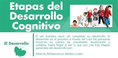 Infograf A Etapas Del Desarrollo Cognitivo