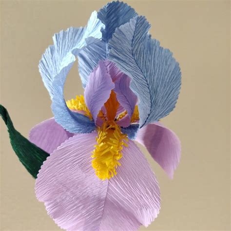 Tall Bearded Iris Crepe Paper Flower Single Stem February Etsy In