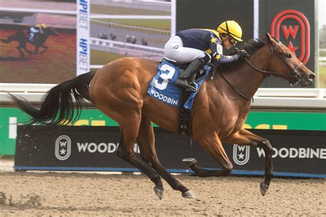 Star Shoot Score Caps Off A Stellar Day For Sofia Vives Woodbine