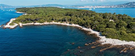 Croisière Île Sainte Marguerite Et La Corniche Dor En Bateau Départ