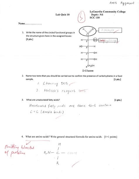 SCC110 Lab Quiz 10 SCC 110 Studocu