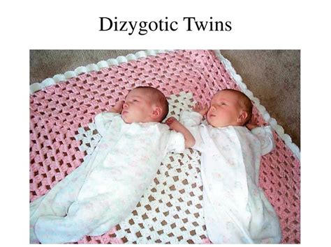 What Are Fraternal Dizygotic Twins