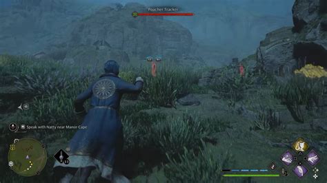 One Less Poacher In The Wizarding World” Rhogwartslegacygaming