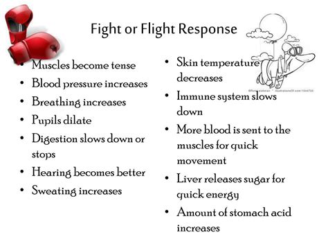 Ppt Responses To Stressful Situations And Positive Coping Powerpoint